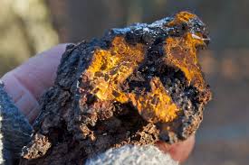 Chaga is an functional mushroom that has anti-inflammatory properties that supports digestion